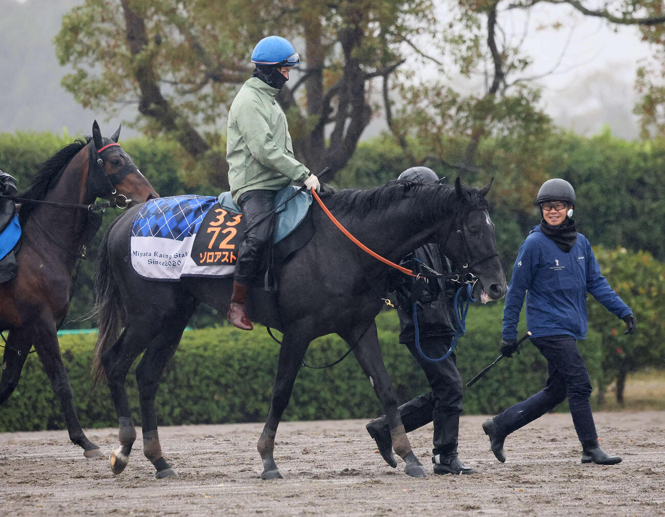 2週前追い切りを終えて馬場を出るゾロアストロ（撮影・丹羽敏通）