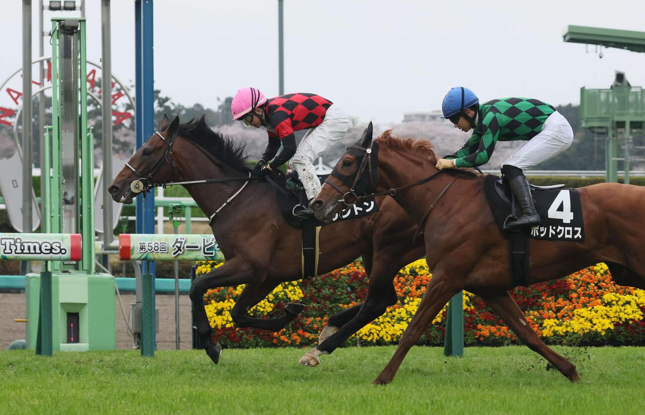中山9R、山吹賞を制したケントンと武藤騎手（撮影・丹羽敏通）
