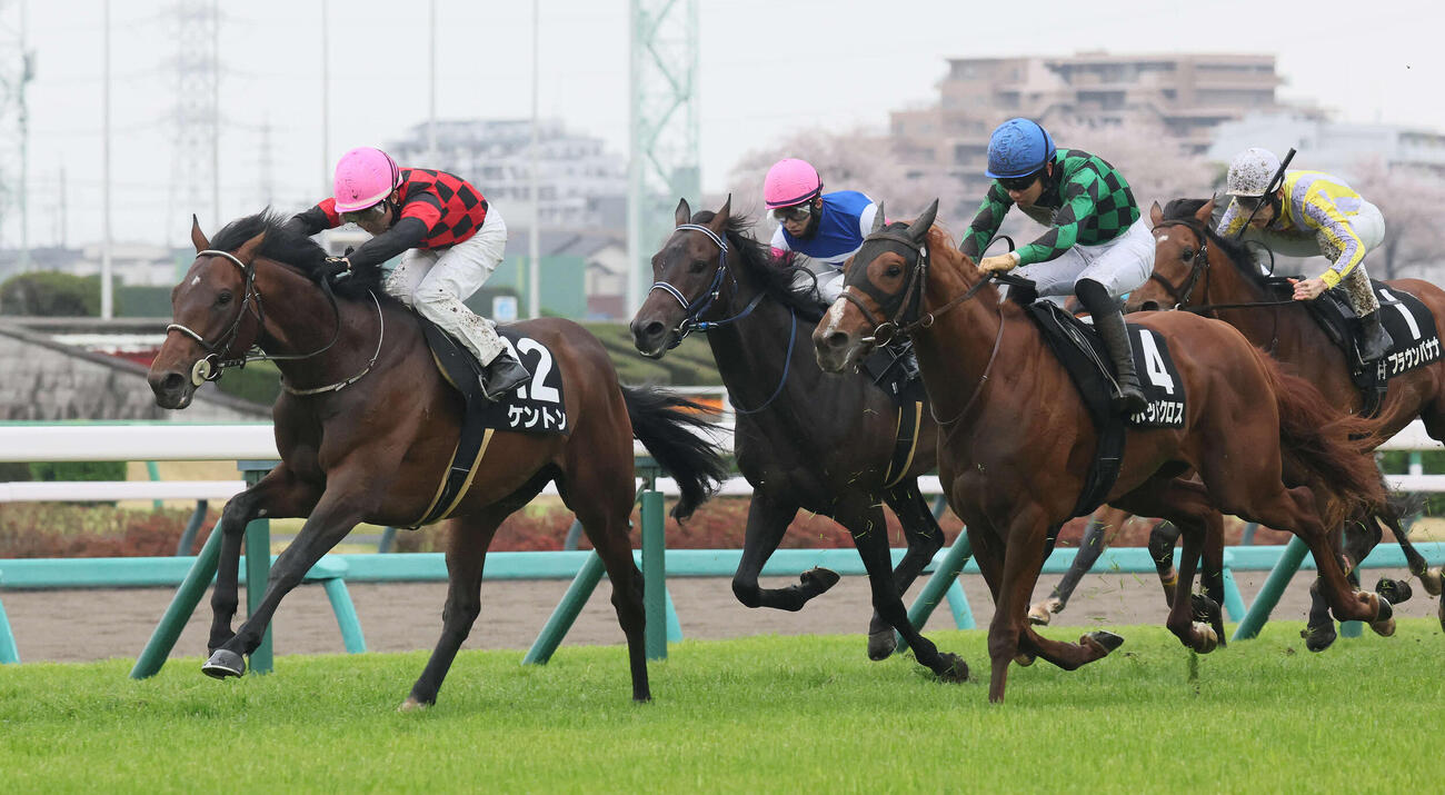 中山9R、山吹賞を制したケントンと武藤騎手（撮影・丹羽敏通）