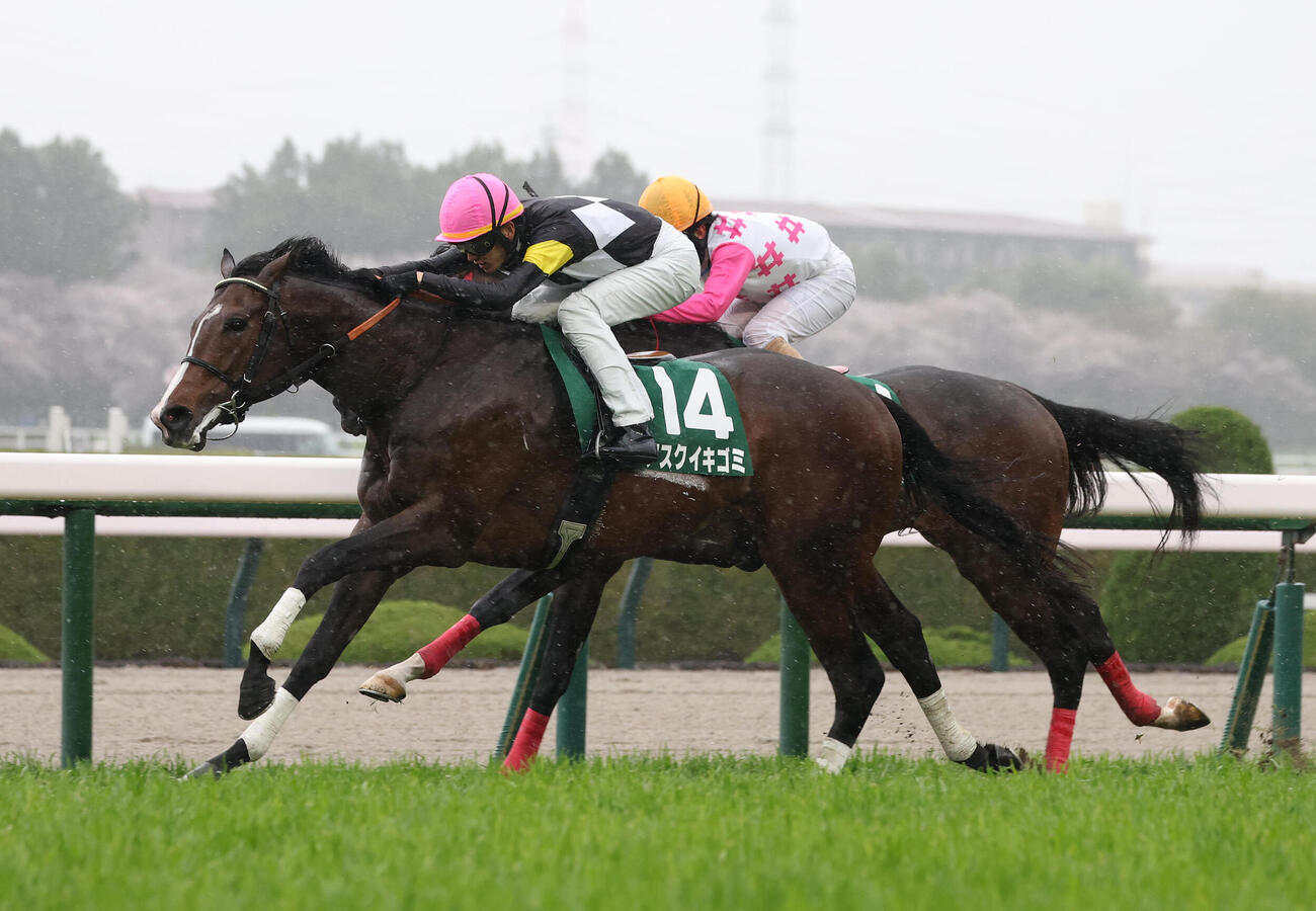 逃げたユウファラオ（奥）を差し切ってチャーチルダウンズCを制したアスクイキゴミ（撮影・白石智彦）