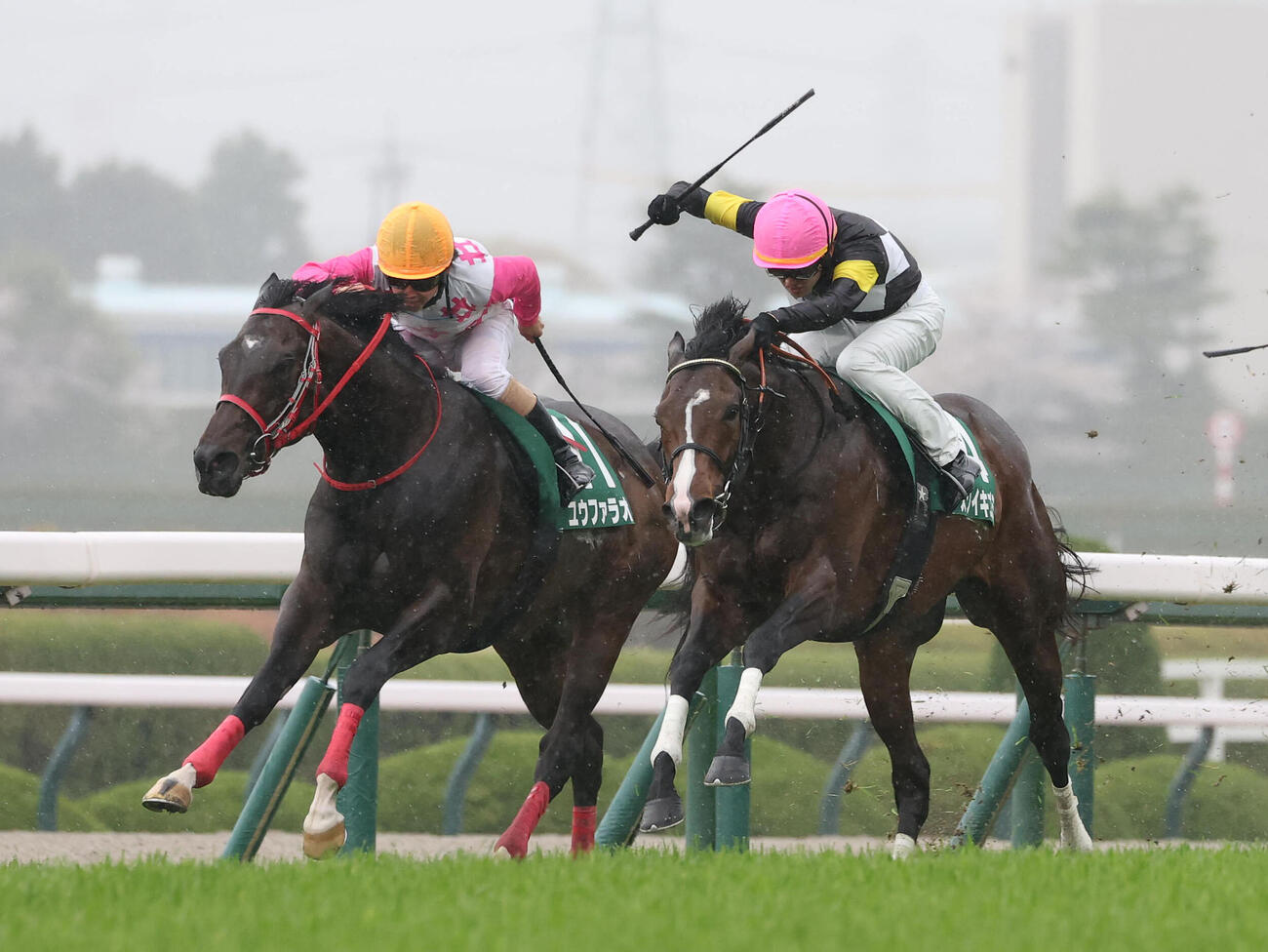 逃げたユウファラオ（左）を差し切ってチャーチルダウンズCを制したアスクイキゴミ（撮影・白石智彦）