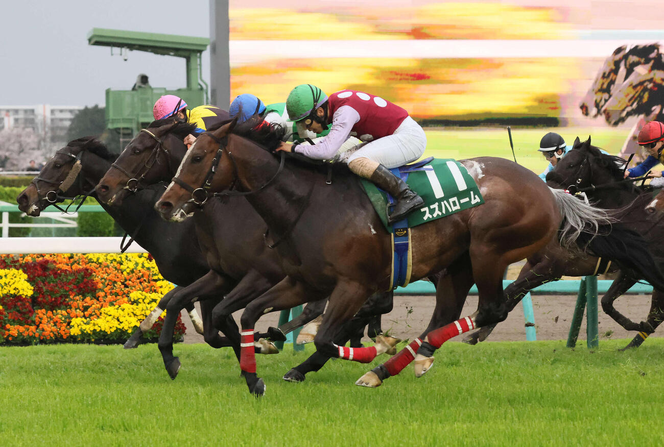 ファーヴェント(中)は頭＋鼻差の3着（撮影・丹羽敏通）