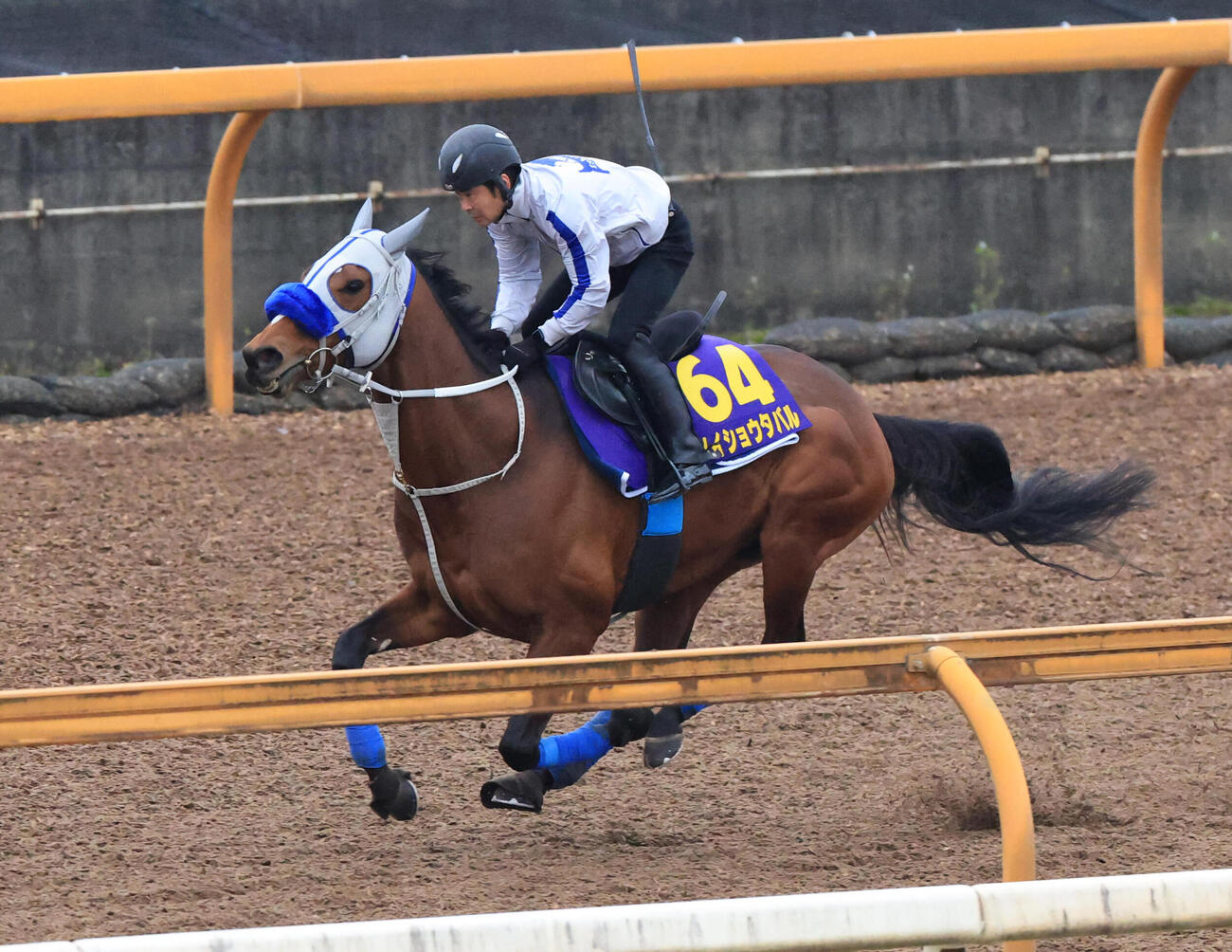 CWコースを単走で追い切るメイショウタバル