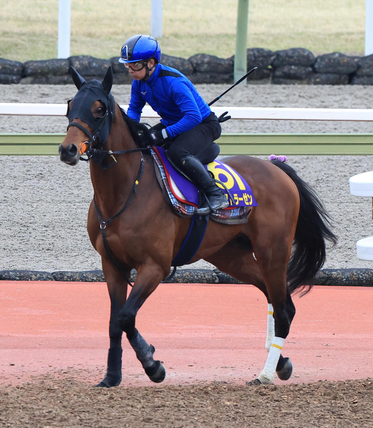 ファウストラーゼン（2026年4月1日撮影）