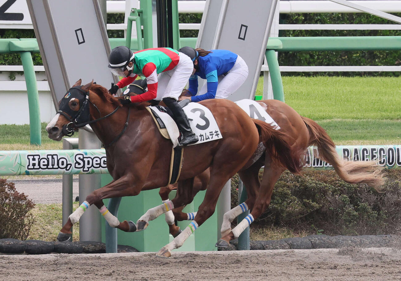 中山6R、3歳1勝クラスを制したテンカムテキと丹内騎手（手前）（撮影・丹羽敏通）