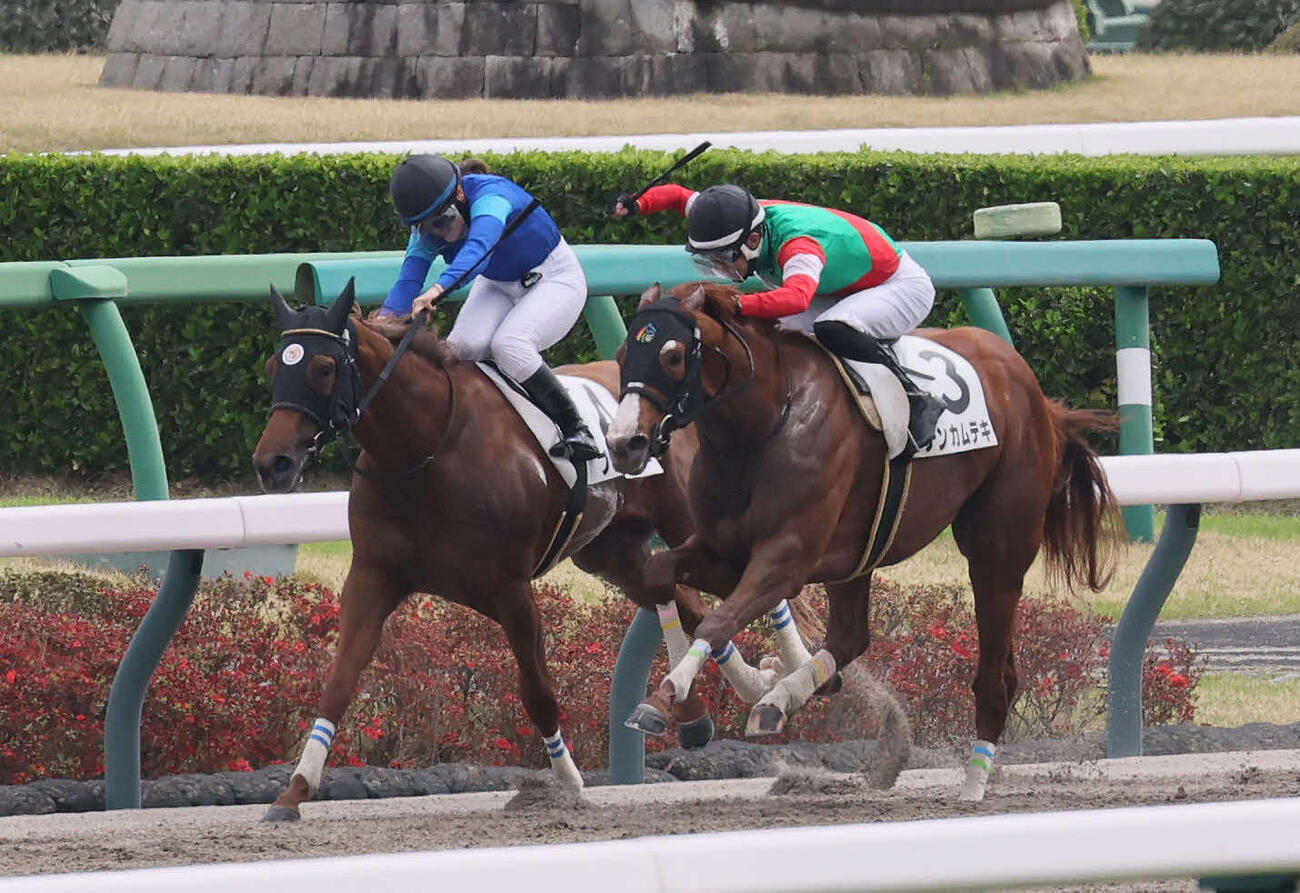 中山6R、逃げ粘り2着に入ったプレイメイカーと小林美駒騎手（左）（撮影・丹羽敏通）