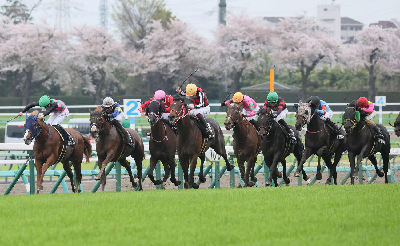中山11R、美浦Sを制したジュタと横山武騎手（中央）。左から2頭目は2着シャドウメテオ、右から2頭目は3着ヤマニンアドホック（撮影・丹羽敏通）
