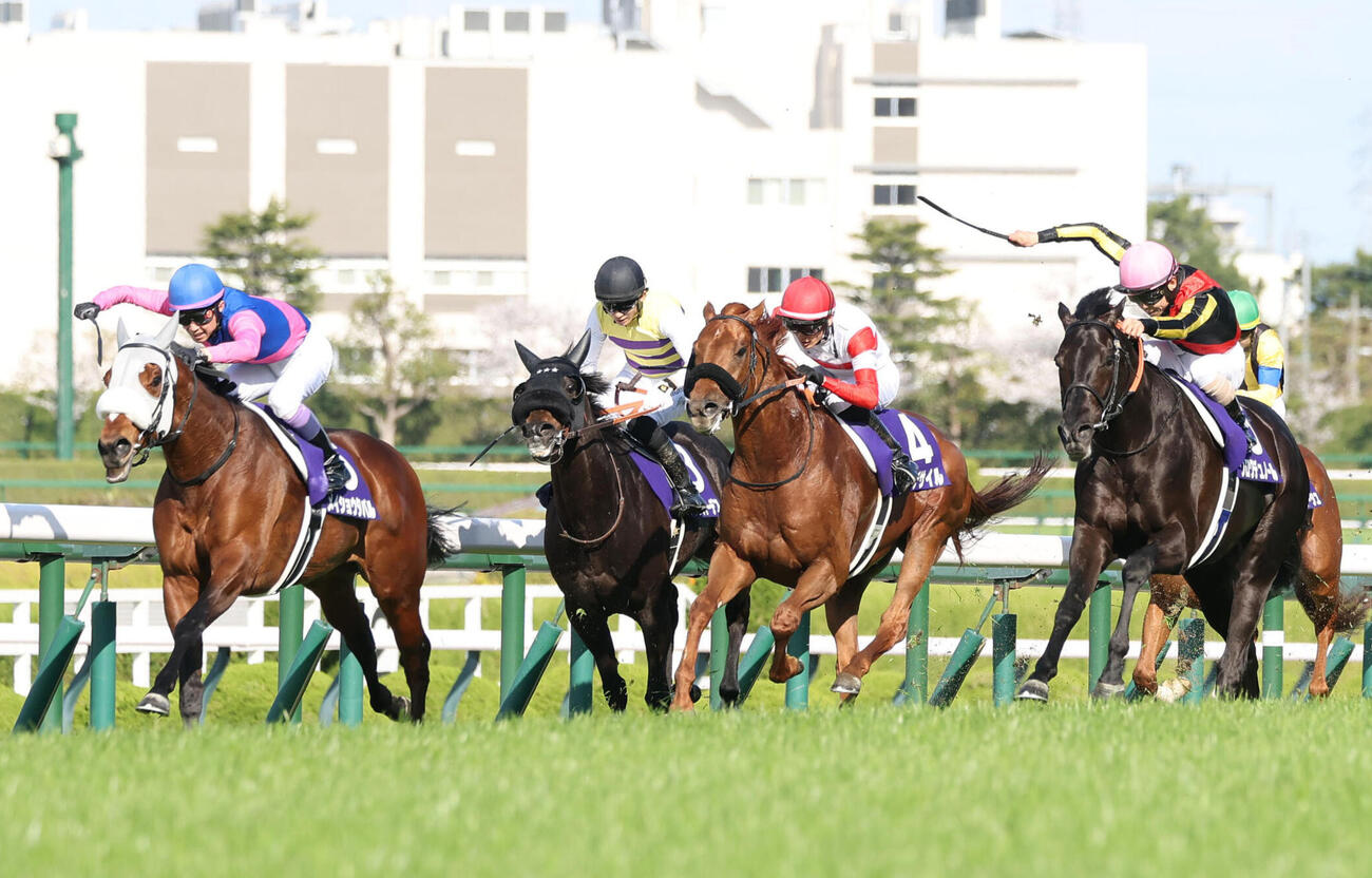 大阪杯2着に敗れたメイショウタバル（左）。右は勝ったクロワデュノール（撮影・白石智彦）