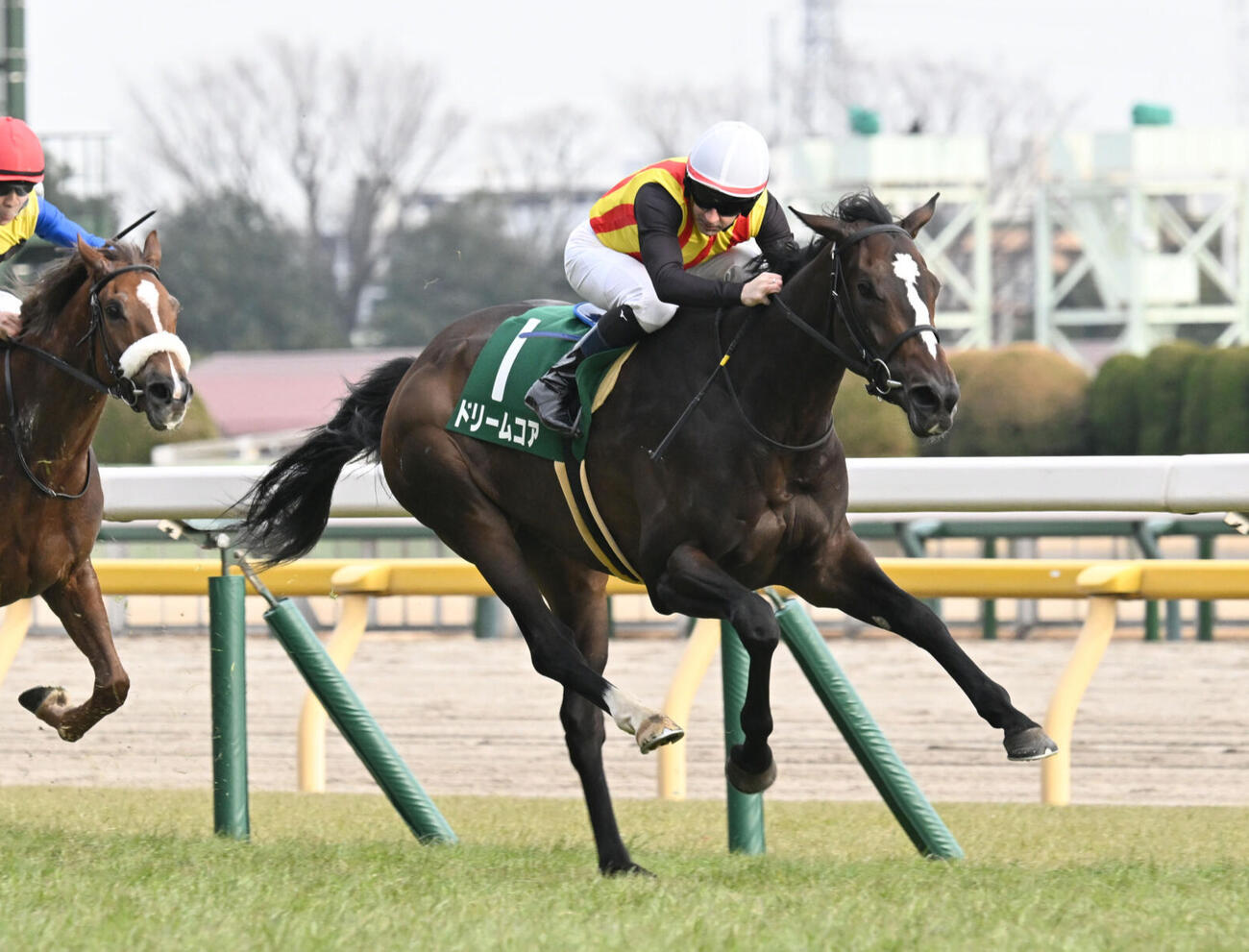 クイーンCを制したドリームコアとルメール騎手