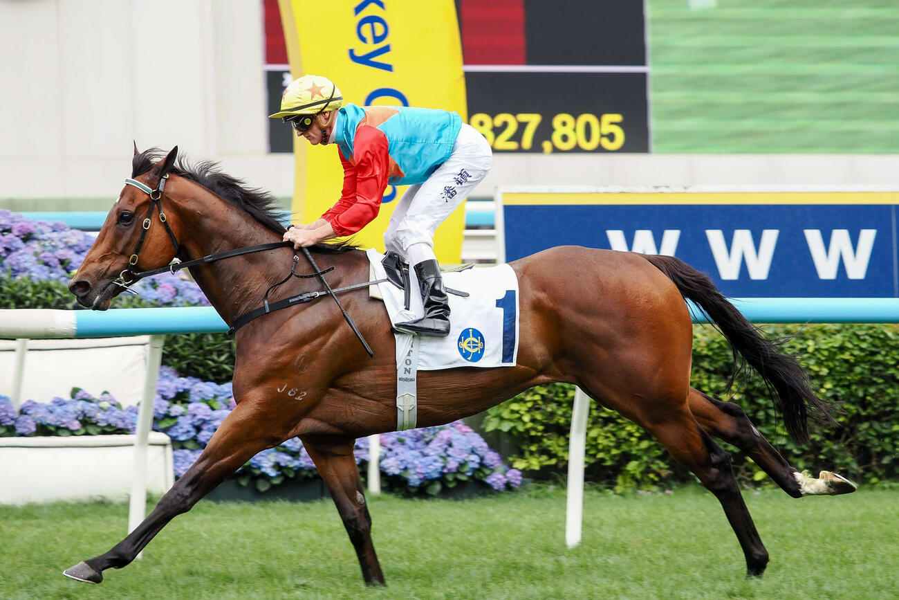 スプリントカップを制し19連勝のカーインライジング（C）The Hong Kong Jockey Club