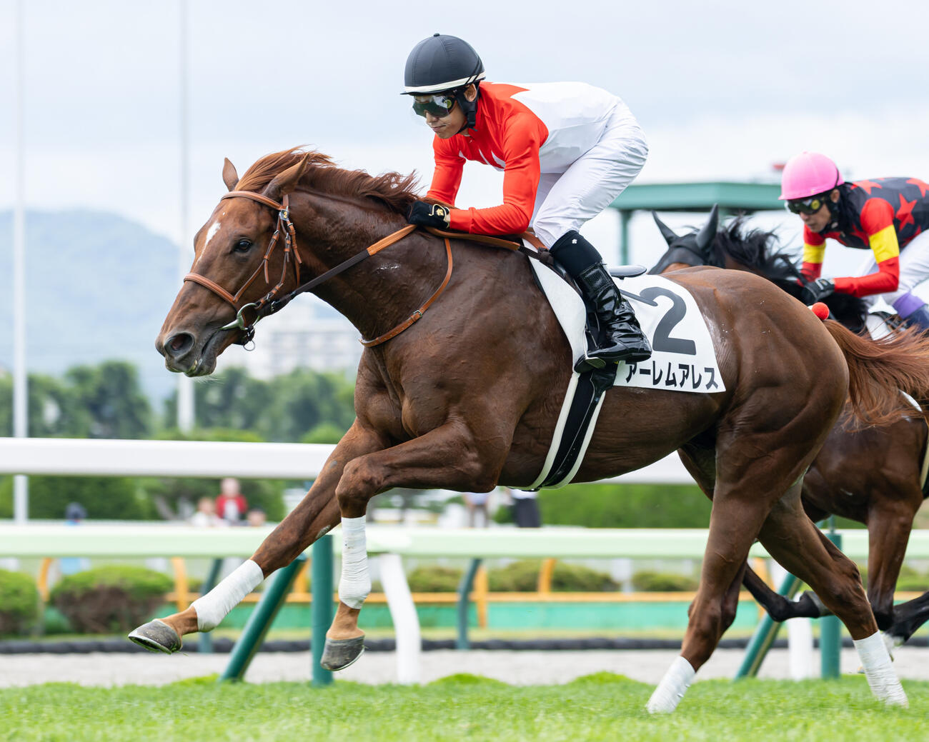 25年7月20日函館5Rの新馬戦を制したアーレムアレス