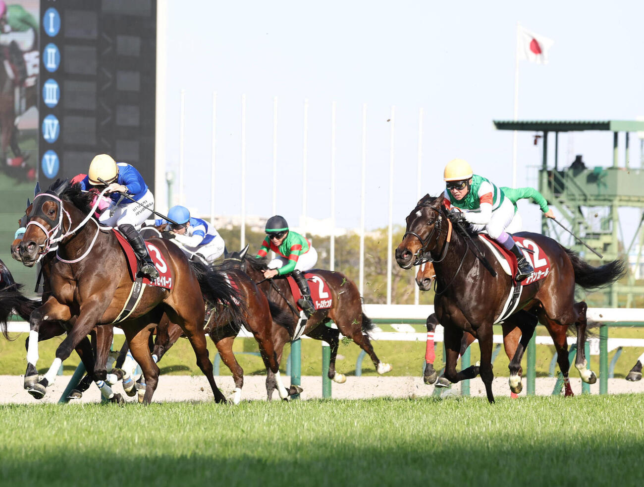 チューリップ賞3着のアランカール（右）