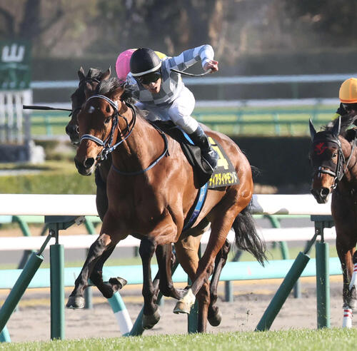 桜花賞】アネモネS覇者ディアダイヤモンドは脚さばきパワフル「先週