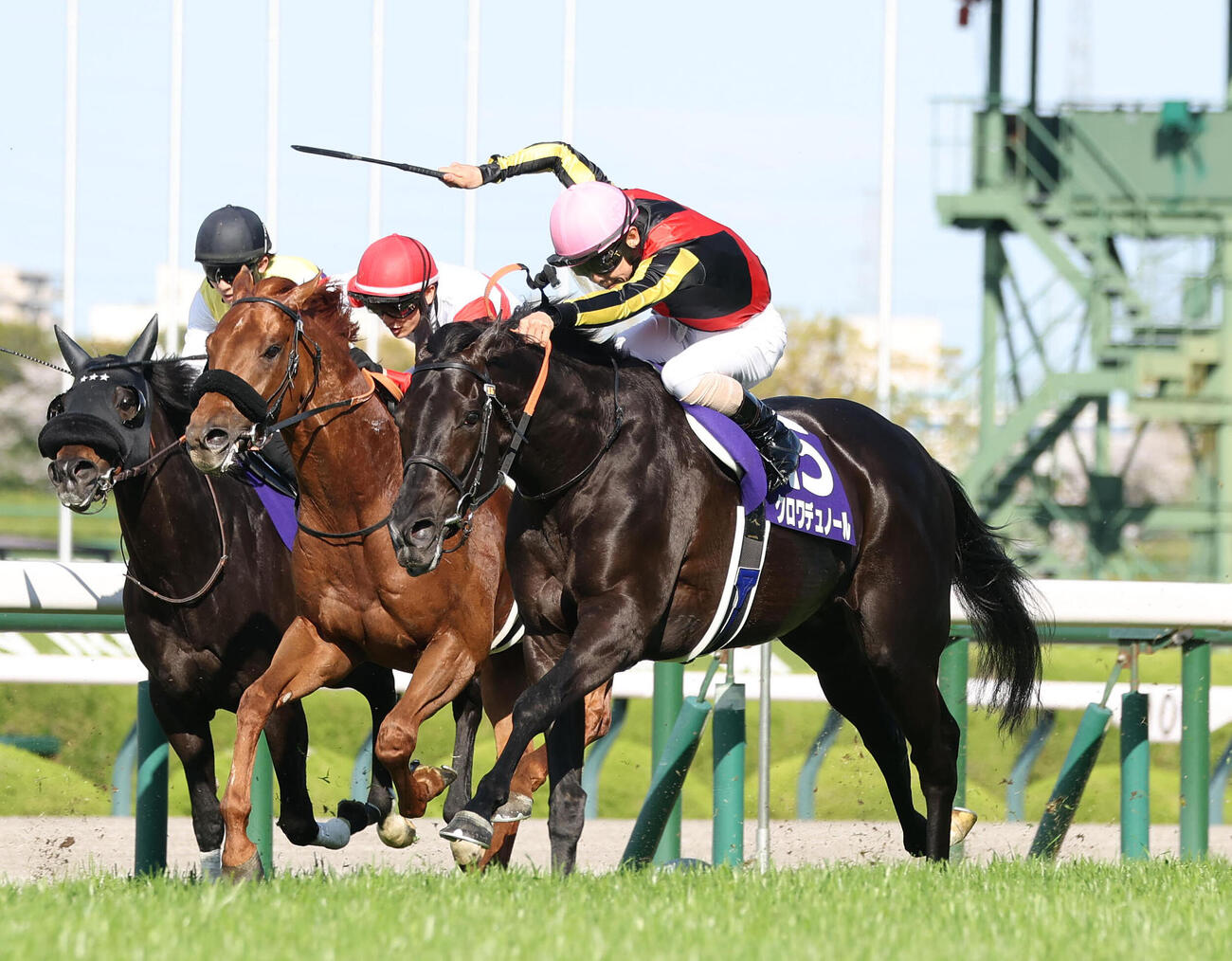 大阪杯を制したクロワデュノール（右）
