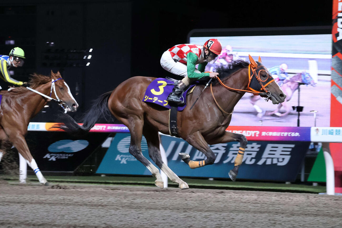 直線で差し切りクラウンCを制したシーテープと矢野貴之騎手