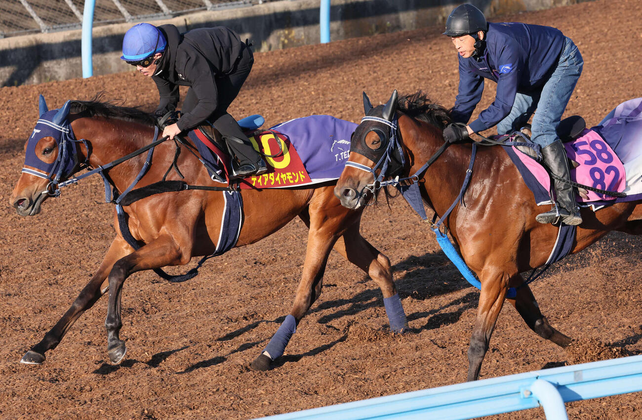 ディアダイヤモンド（左）は初コンタクトの戸崎騎手を背に美浦ウッドで追い切られた（撮影・丹羽敏通）