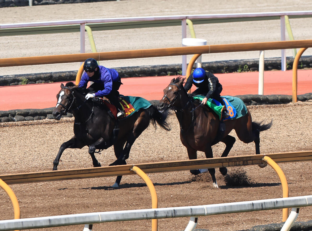Cウッドコースを併せ馬で追い切るドリームコア（左）