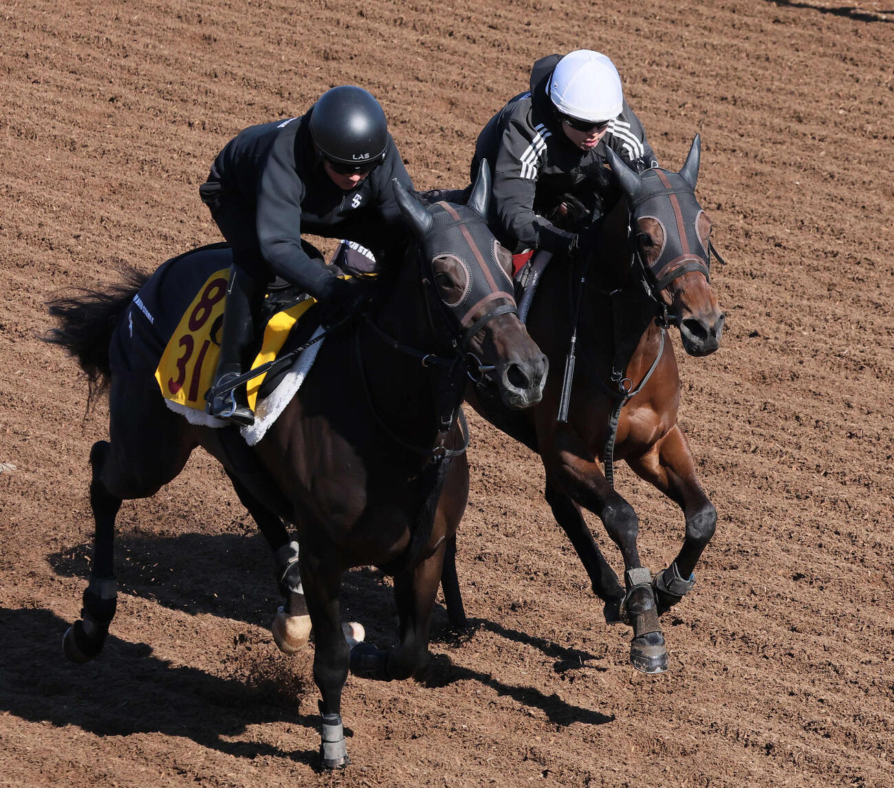ショウナンカリス（右）は美浦ウッドでグランカッサと併せて追い切られた（撮影・丹羽敏通）