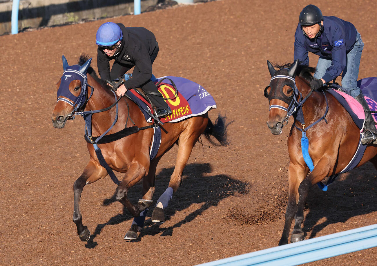 ディアダイヤモンド（左）は初コンタクトの戸崎騎手を背に美浦ウッドで追い切られた（撮影・丹羽敏通）