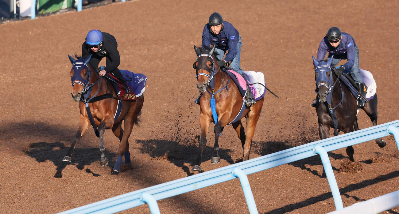 ディアダイヤモンド（左）は初コンタクトの戸崎騎手を背に美浦ウッドで追い切られた（撮影・丹羽敏通）