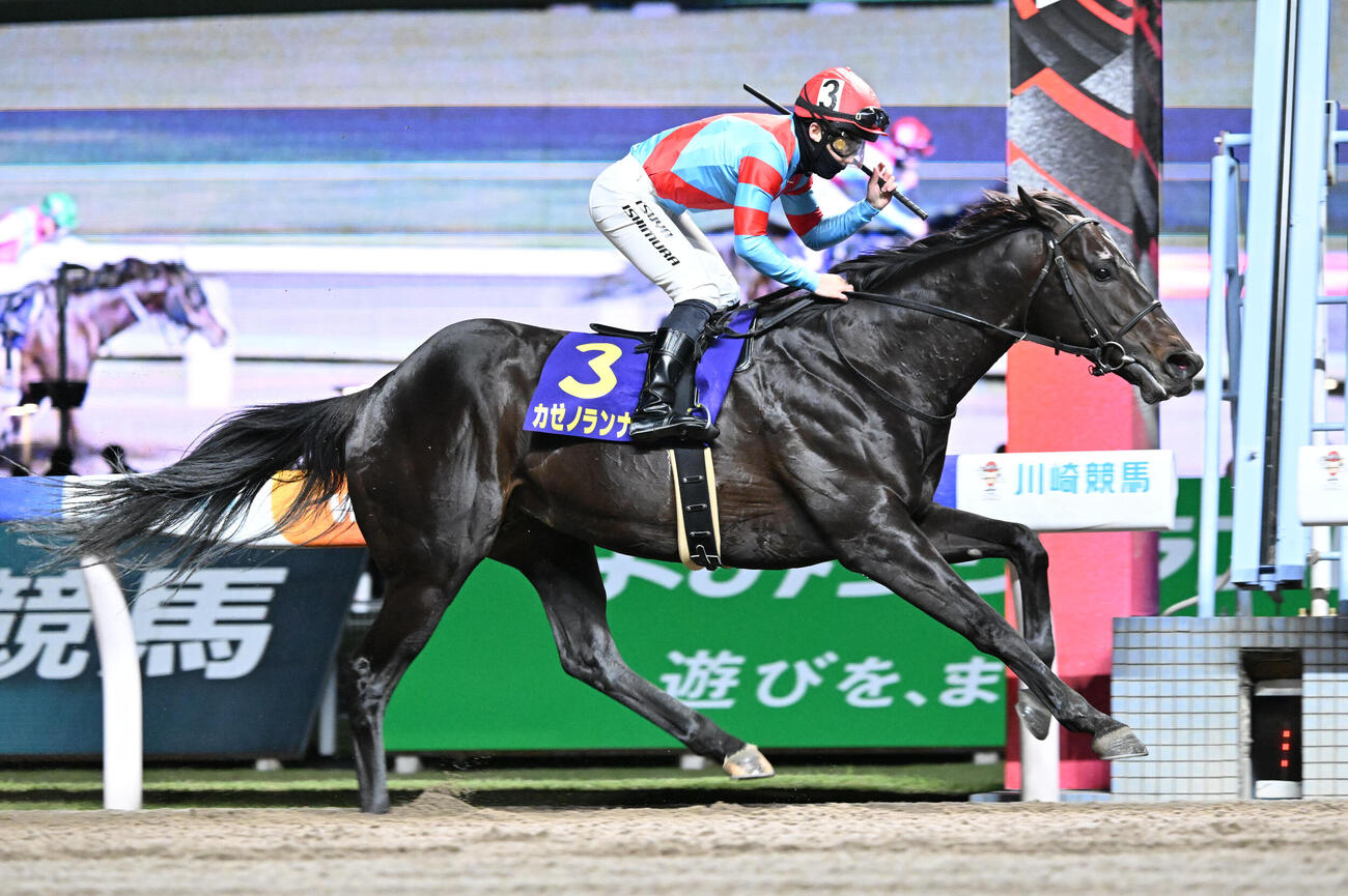 第75回川崎記念を制したカゼノランナーと西村淳騎手（撮影・千葉一成）