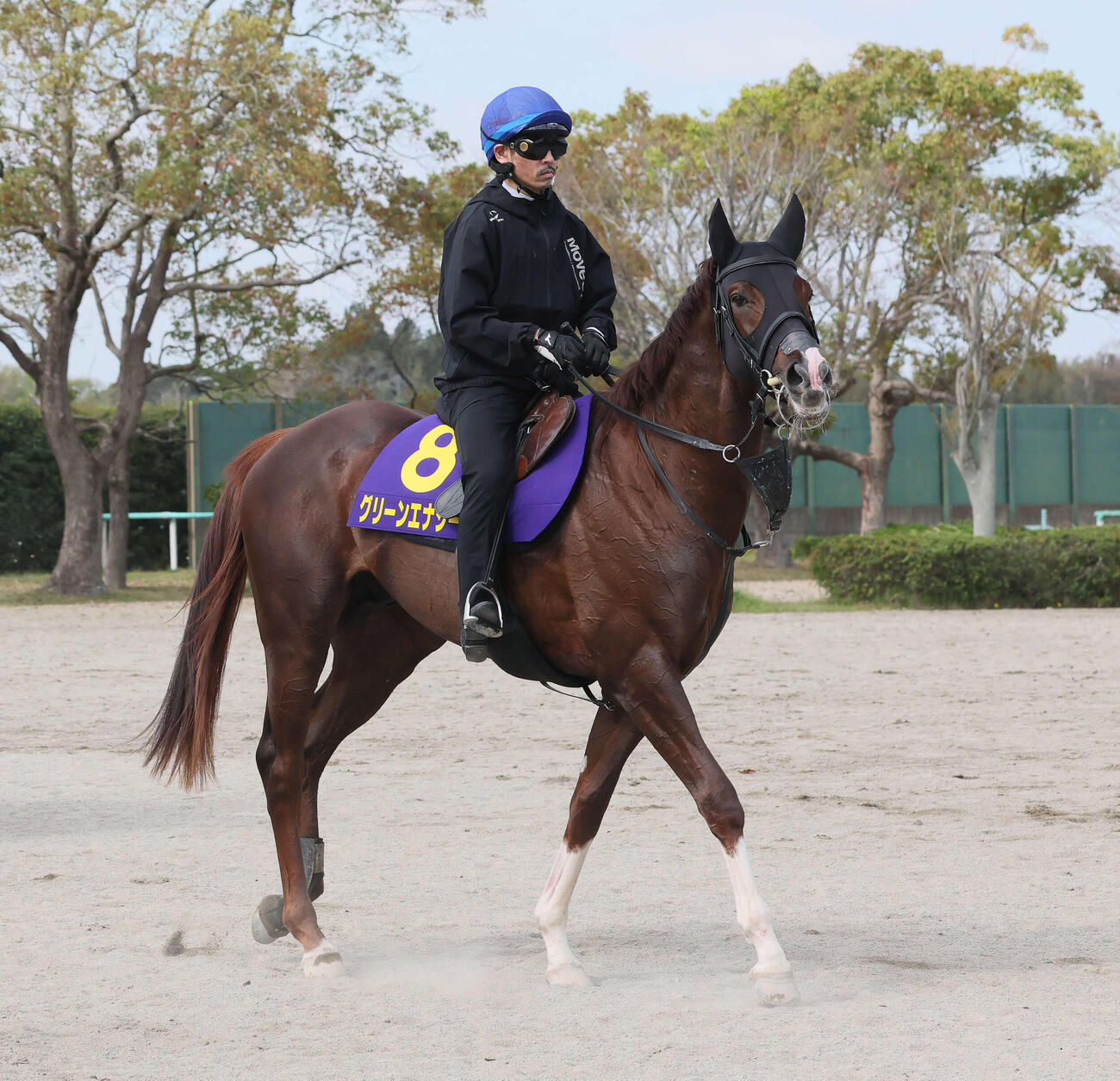 1週前追い切りを終えて馬場を出るグリーンエナジーと戸崎騎手（撮影・丹羽敏通）
