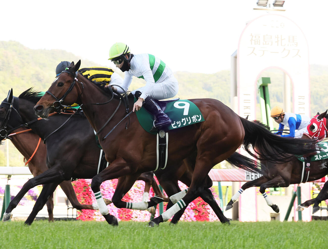 福島牝馬S2着のビッグリボンと西村淳騎手（2023年4月22日撮影）