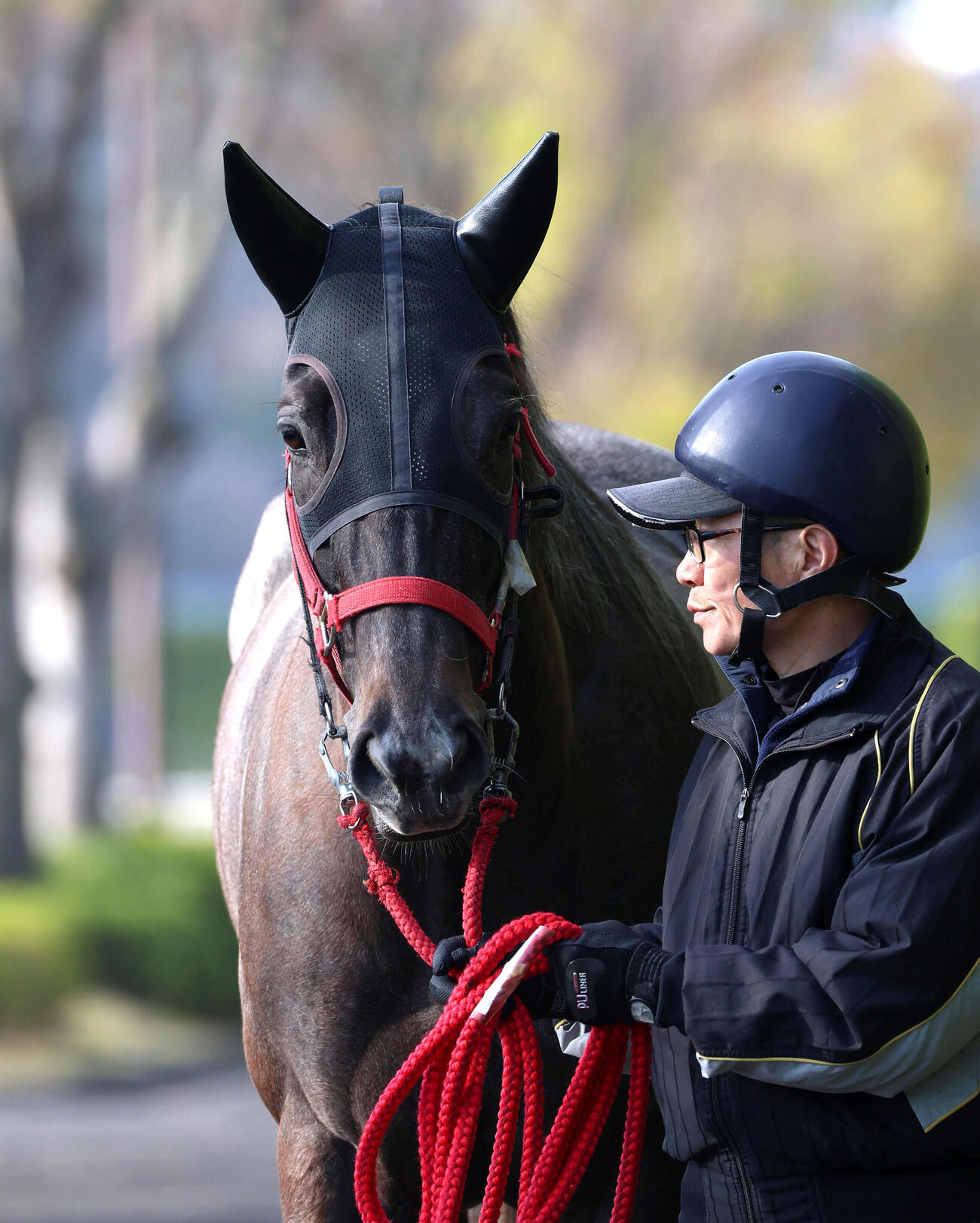 厩舎周りで運動するナムラコスモス（撮影・白石智彦）