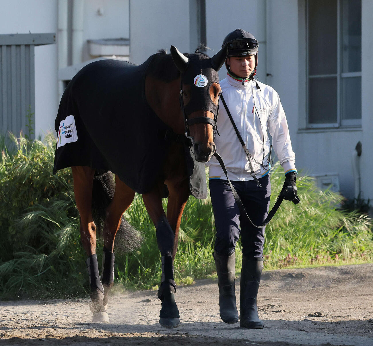 引き運動で調整するジッピーチューン（撮影・丹羽敏通）