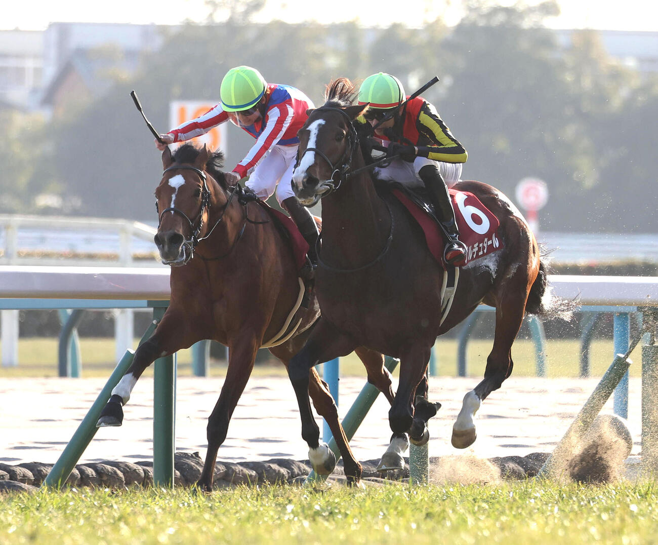 ファミリータイム（左）との競り合いを制して日経新春杯を勝利したゲルチュタール（2026年1月撮影）