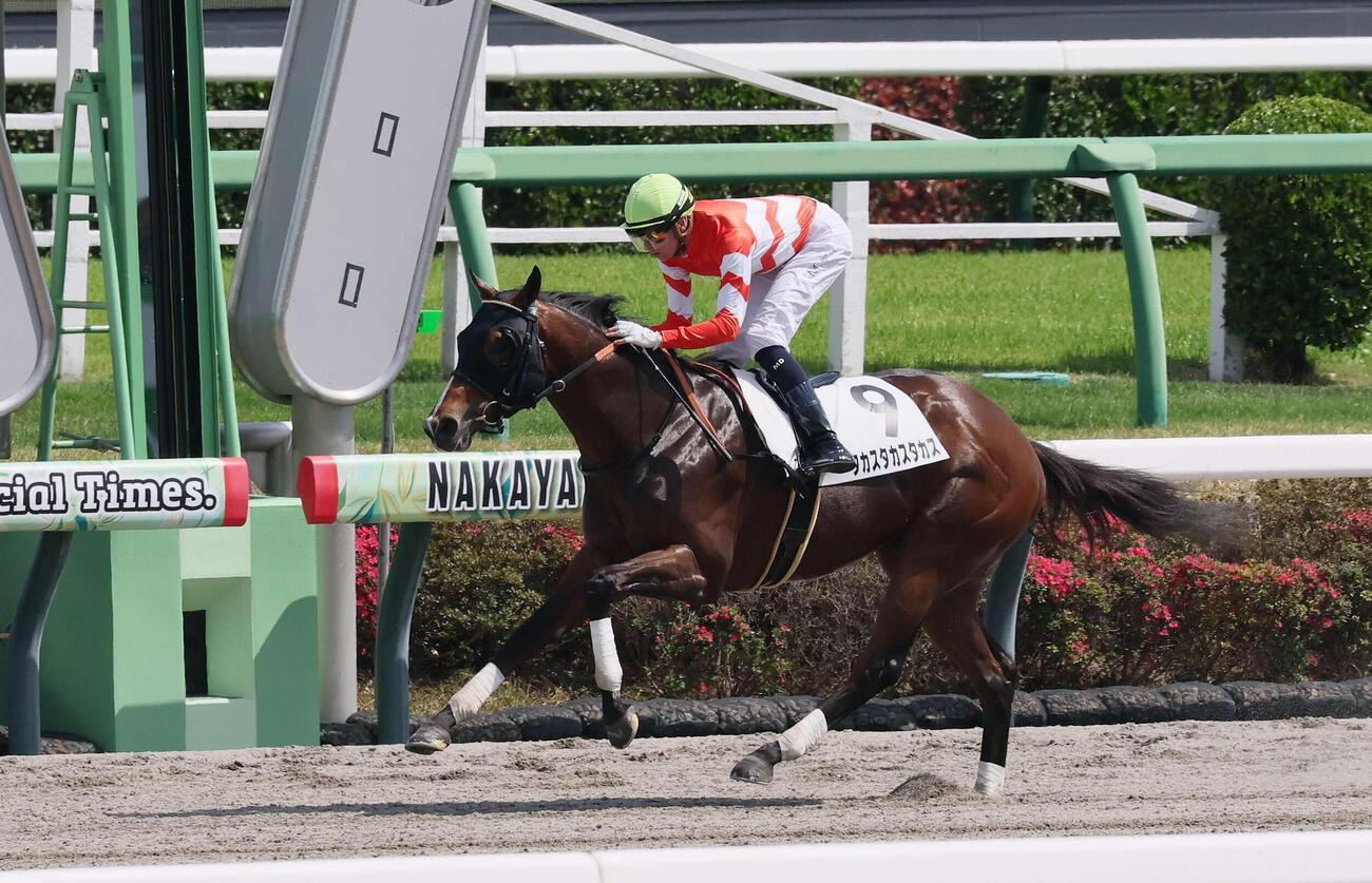 中山7R、3歳1勝クラスを制したタカスタカスタカスとディー騎手（撮影・丹羽敏通）