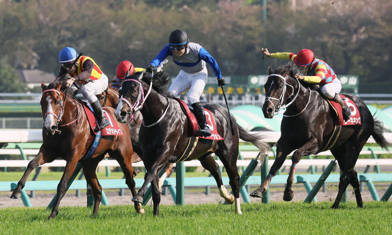 ニュージーランドT制したレザベーションと原騎手（中央）。左は2着ロデオドライブ、右は3着ジーネキング
