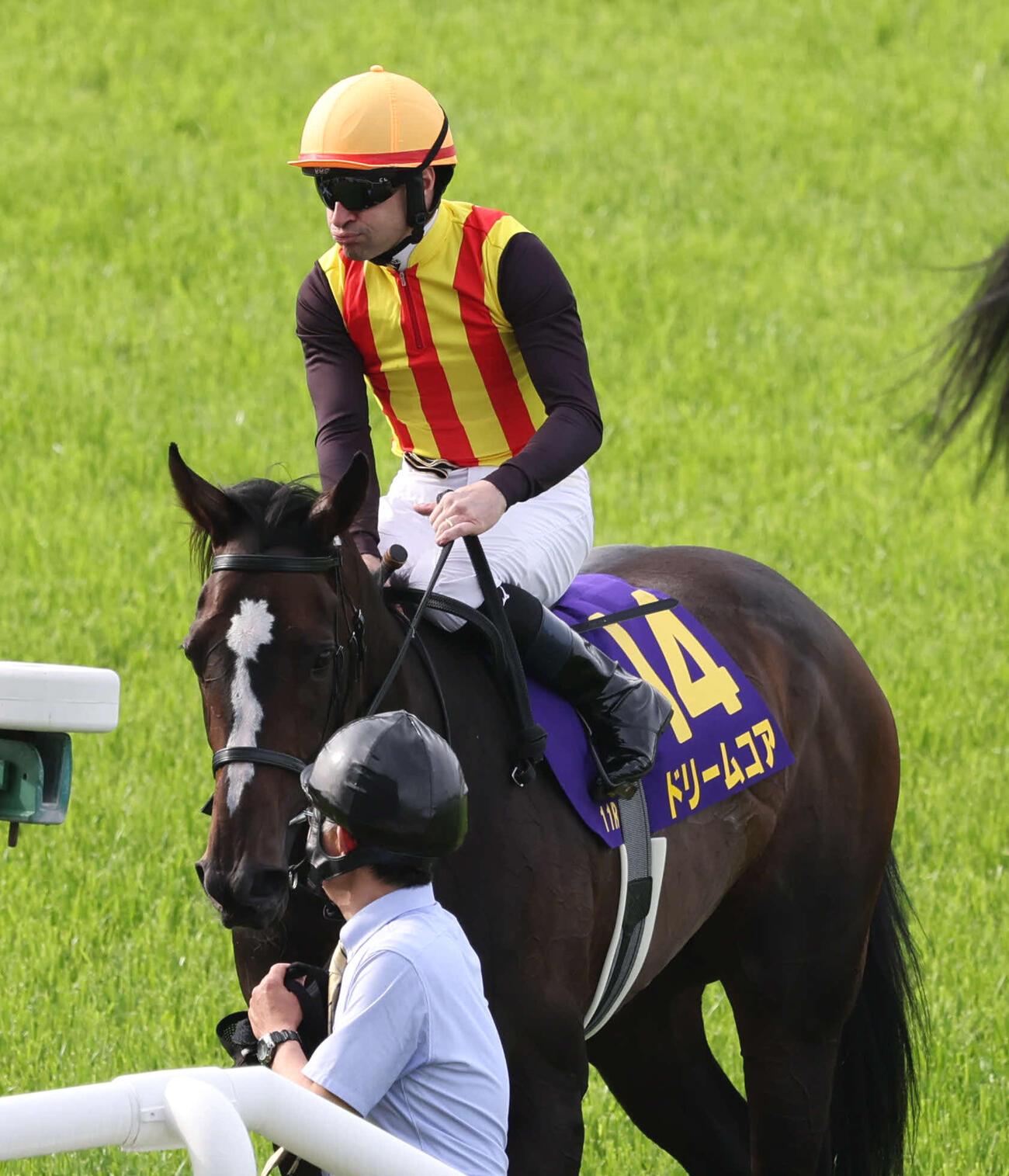 桜花賞9着に敗れたドリームコアとルメール騎手（撮影・西尾就之）