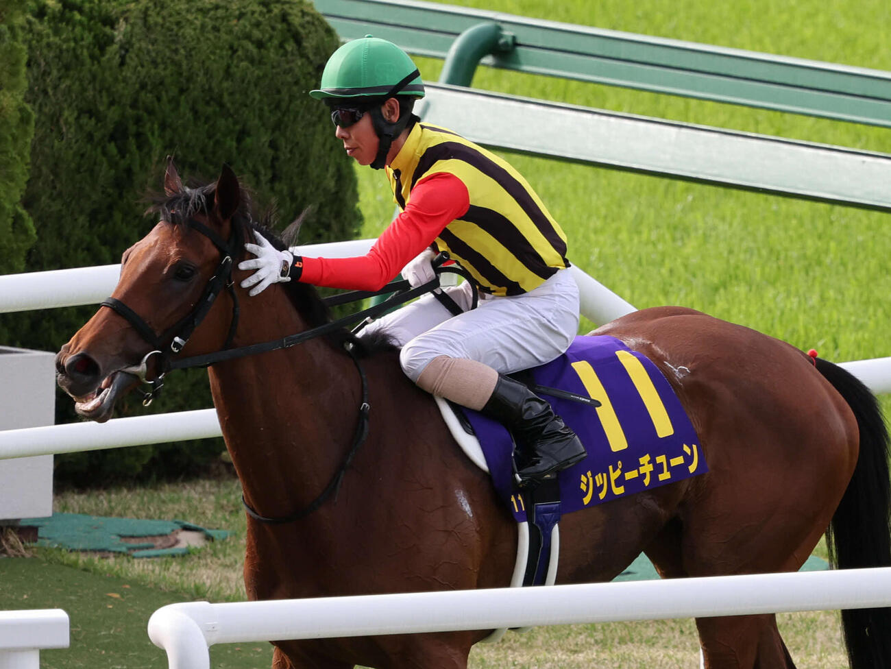 桜花賞3着に入ったジッピーチューンと北村友一騎手（撮影・西尾就之）