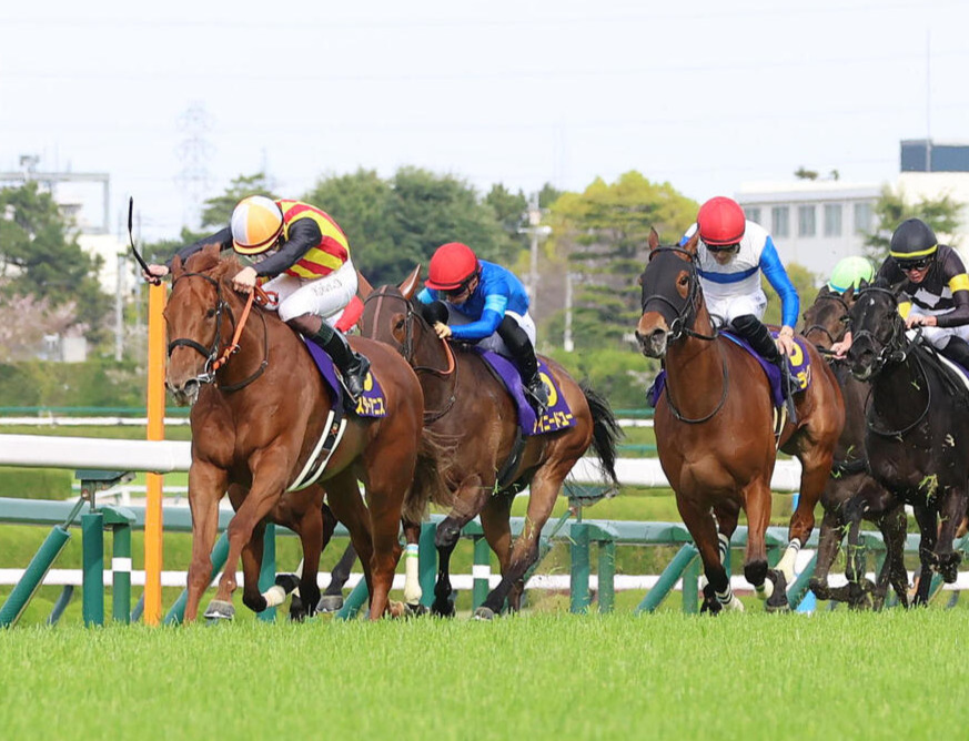 桜花賞2着に入ったギャラボーグ（右から2頭目）。左は勝ったスターアニス（撮影・白石智彦）