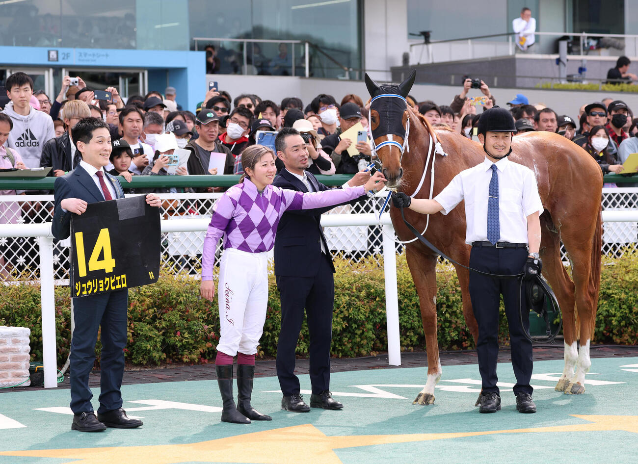 阪神9R、忘れな草賞を制したジュウリョクピエロと口取りに並ぶ今村騎手（左から2人目）（撮影・白石智彦）