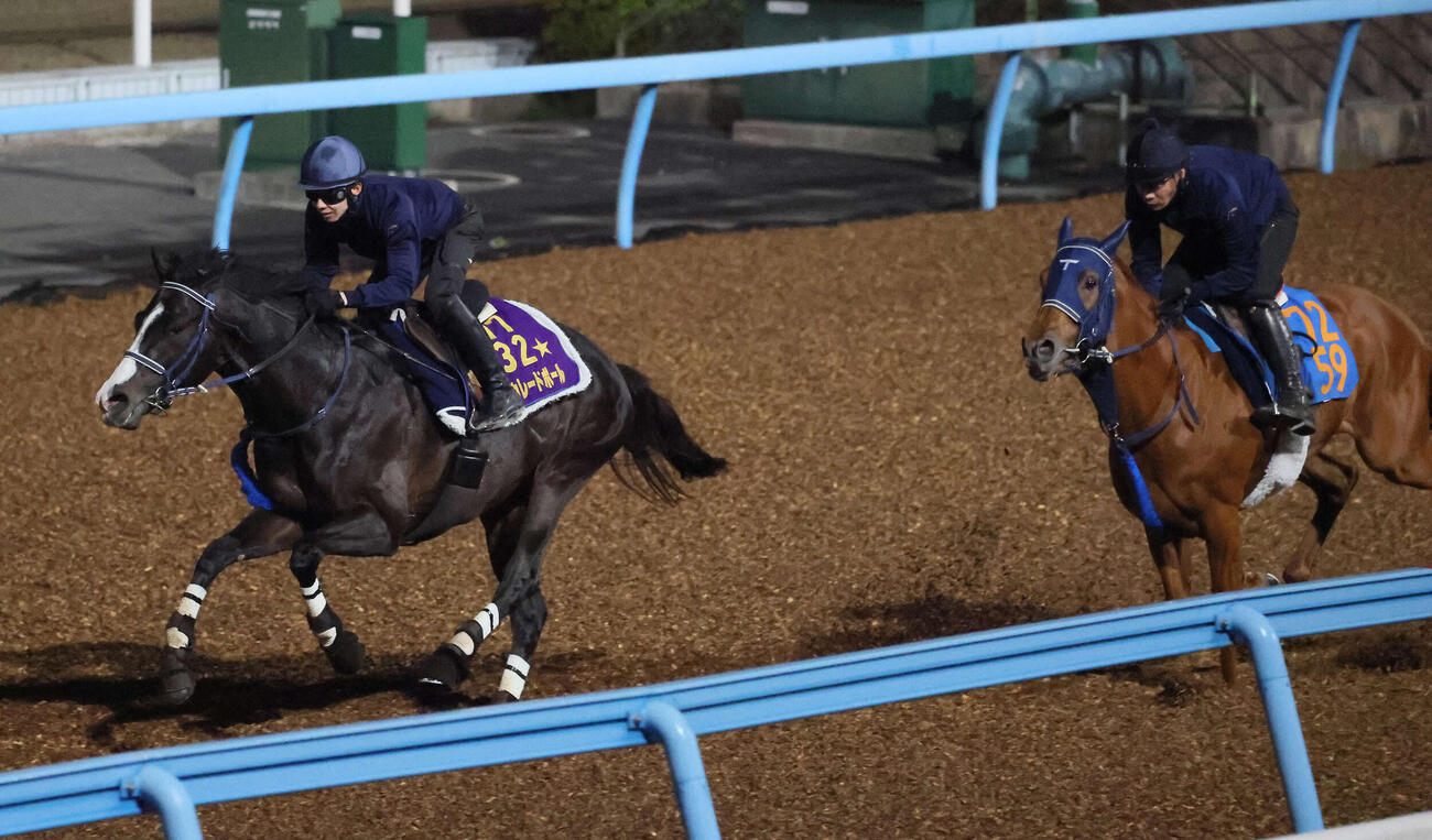 マスカレードボール（左）は美浦ウッドでツルマウカタチと併せて追い切られた（撮影・丹羽敏通）