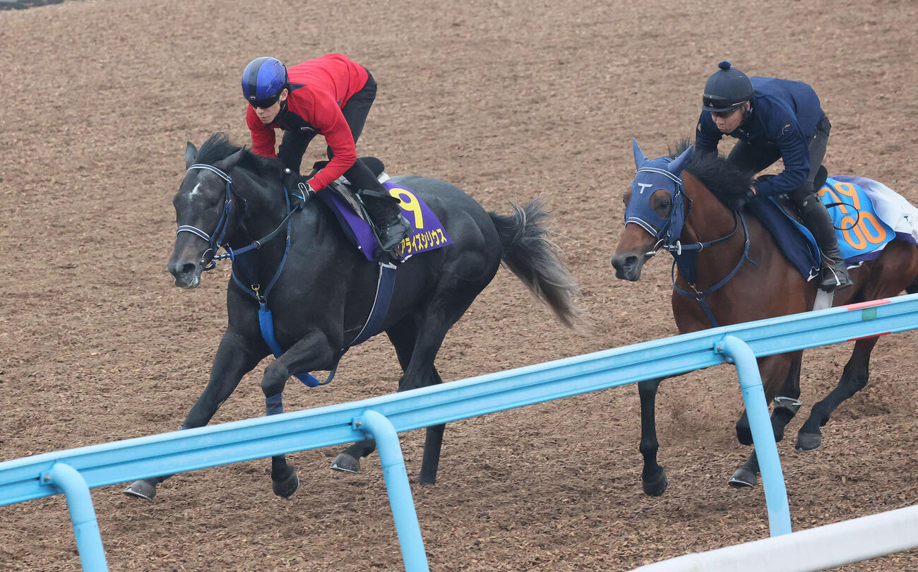 リアライズシリウス（左）は津村騎手を背に美浦ウッドでレッドアトレーヴと併せて追い切られた（撮影・丹羽敏通）