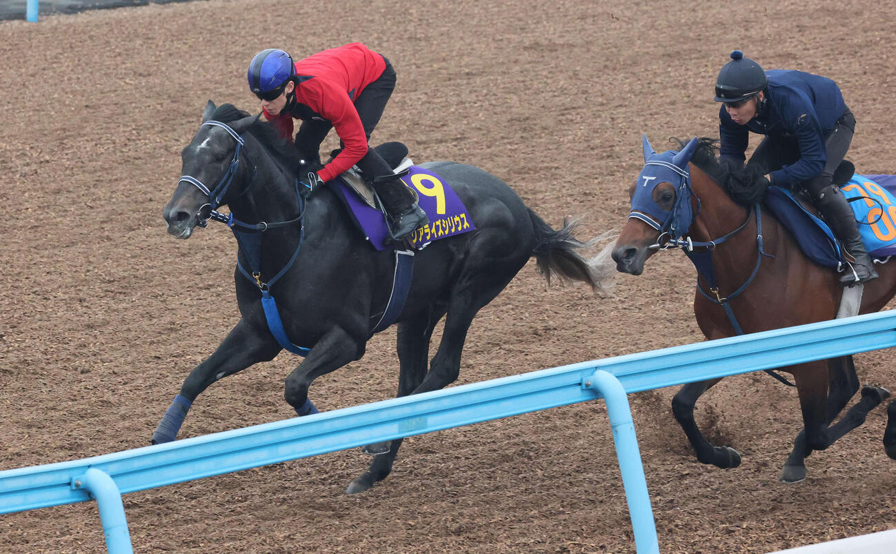 リアライズシリウス（左）は津村騎手を背に美浦ウッドでレッドアトレーヴと併せて追い切られた（撮影・丹羽敏通）