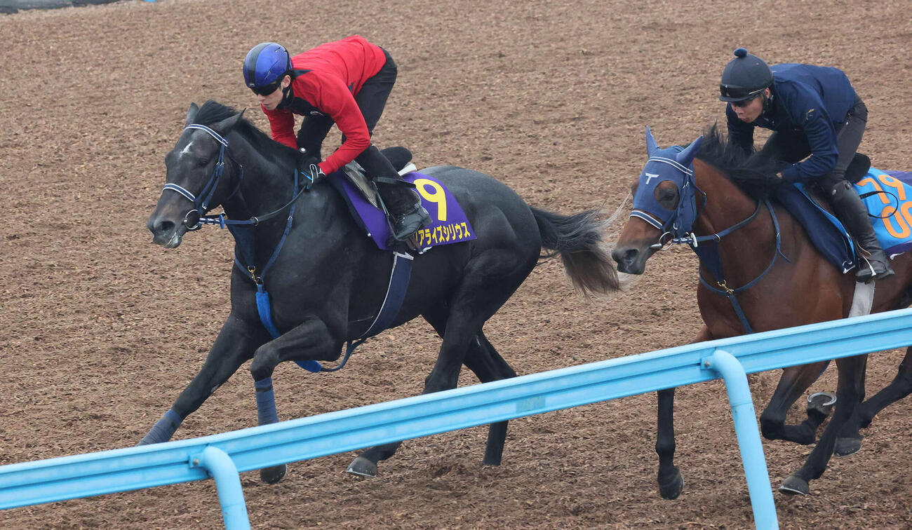 リアライズシリウス（左）は津村騎手を背に美浦ウッドでレッドアトレーヴと併せて追い切られた（撮影・丹羽敏通）