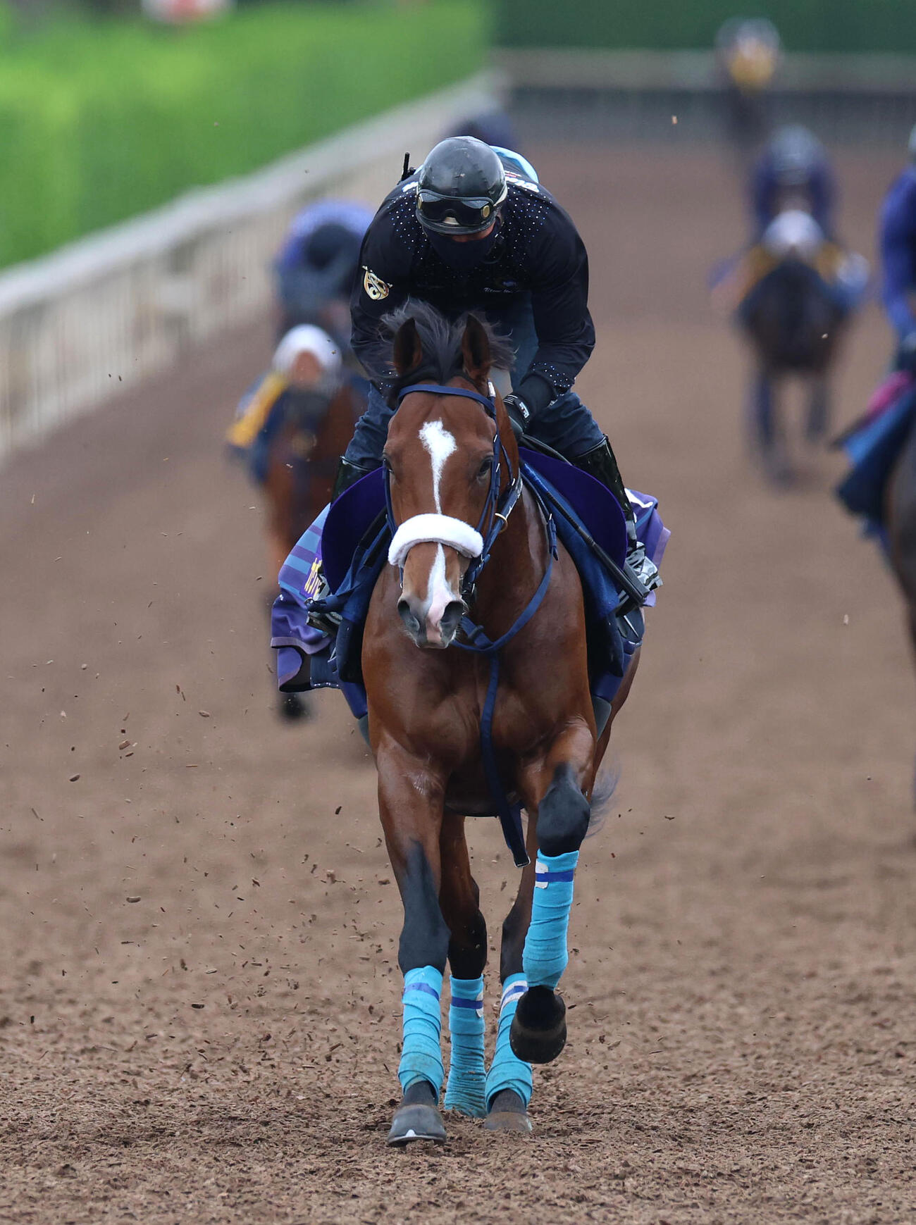 坂路を単走で追い切るカヴァレリッツォ（撮影・白石智彦）
