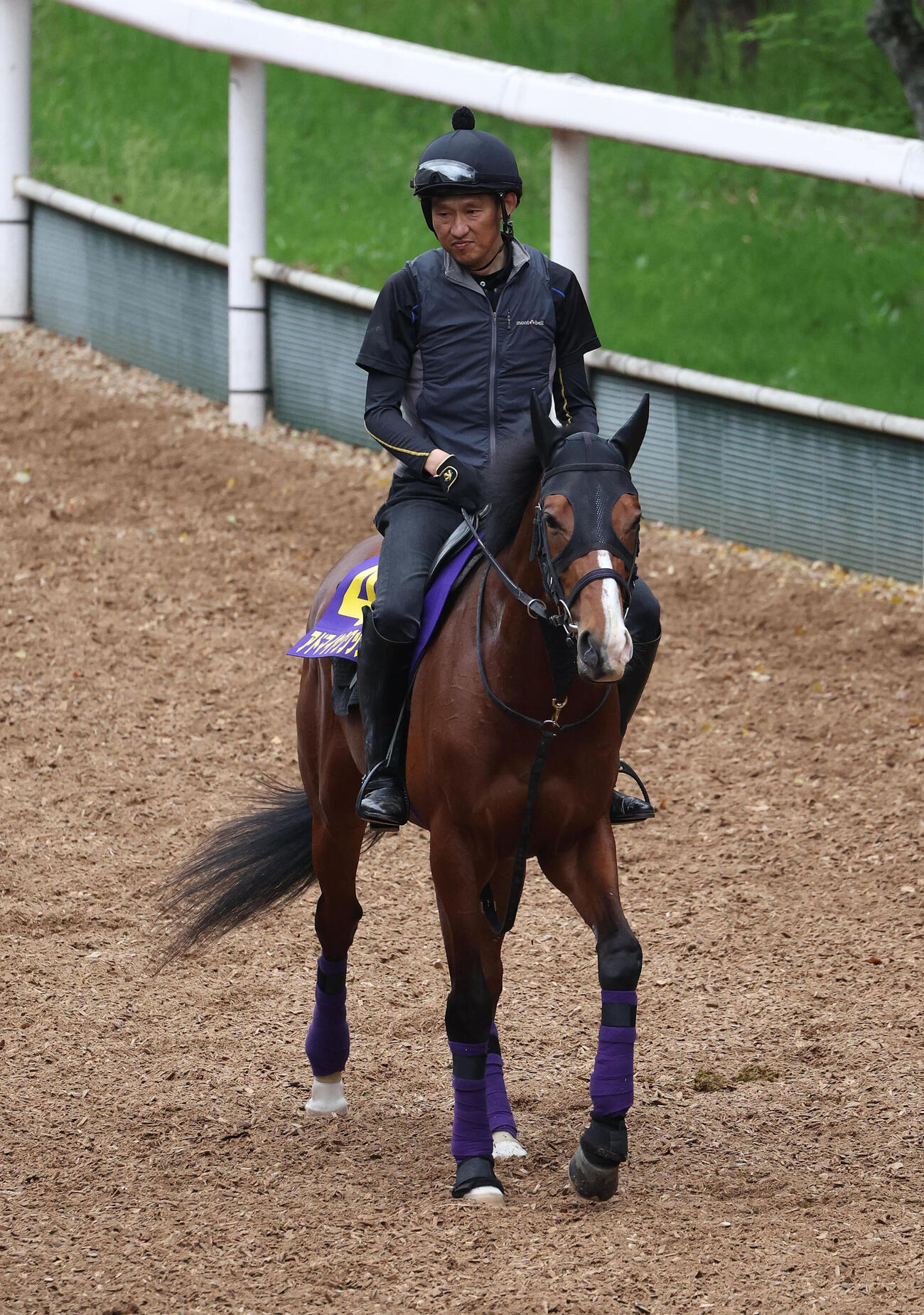 逍遥馬道で運動するアドマイヤクワッズ（撮影・白石智彦）