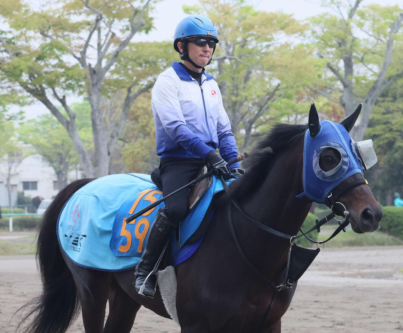 馬場へ向かうプラチナドリームと石神深騎手（撮影・丹羽敏通）
