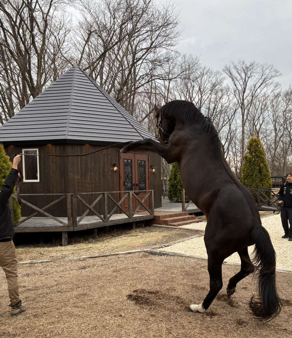 石神深一騎手から引退報告を受け、立ち上がったオジュウチョウサン（写真提供・和田正一郎氏）