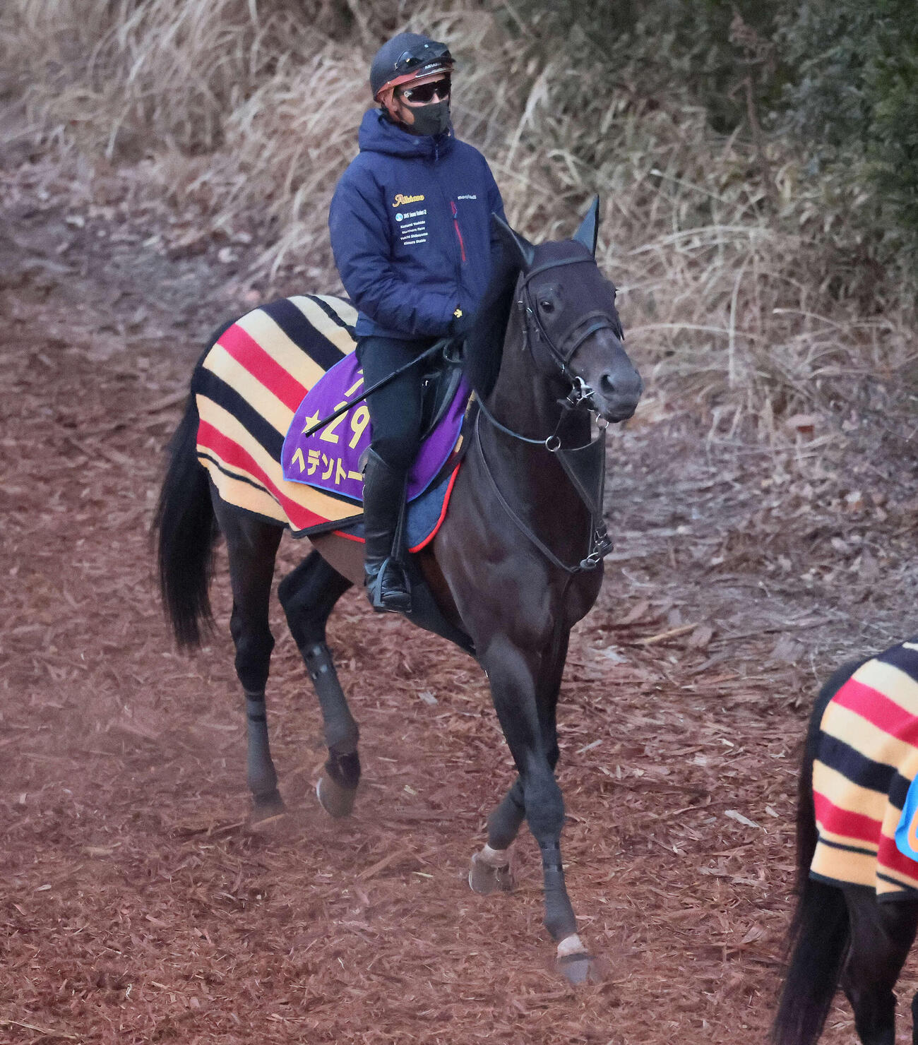 ヘデントール（2026年2月4日撮影）