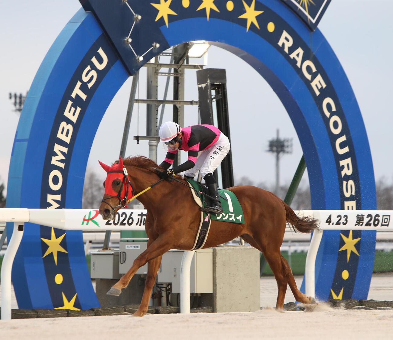 門別6Rスーパーフレッシュチャレンジ競走（2歳新馬戦）を快勝したウンスイ（撮影・奥村晶治）