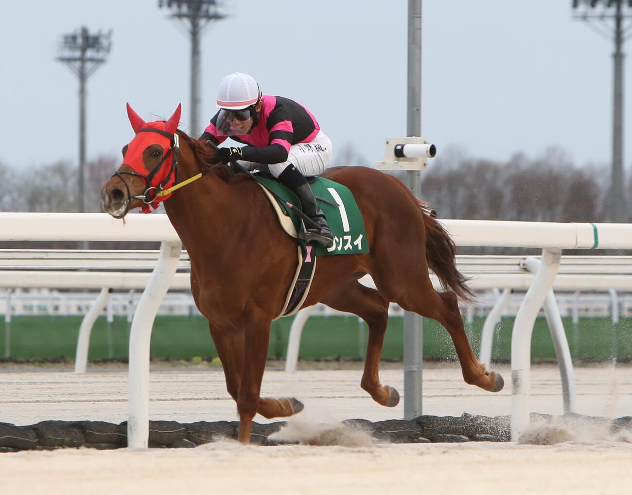 門別6Rスーパーフレッシュチャレンジ競走（2歳新馬戦）を快勝したウンスイ（撮影・奥村晶治）