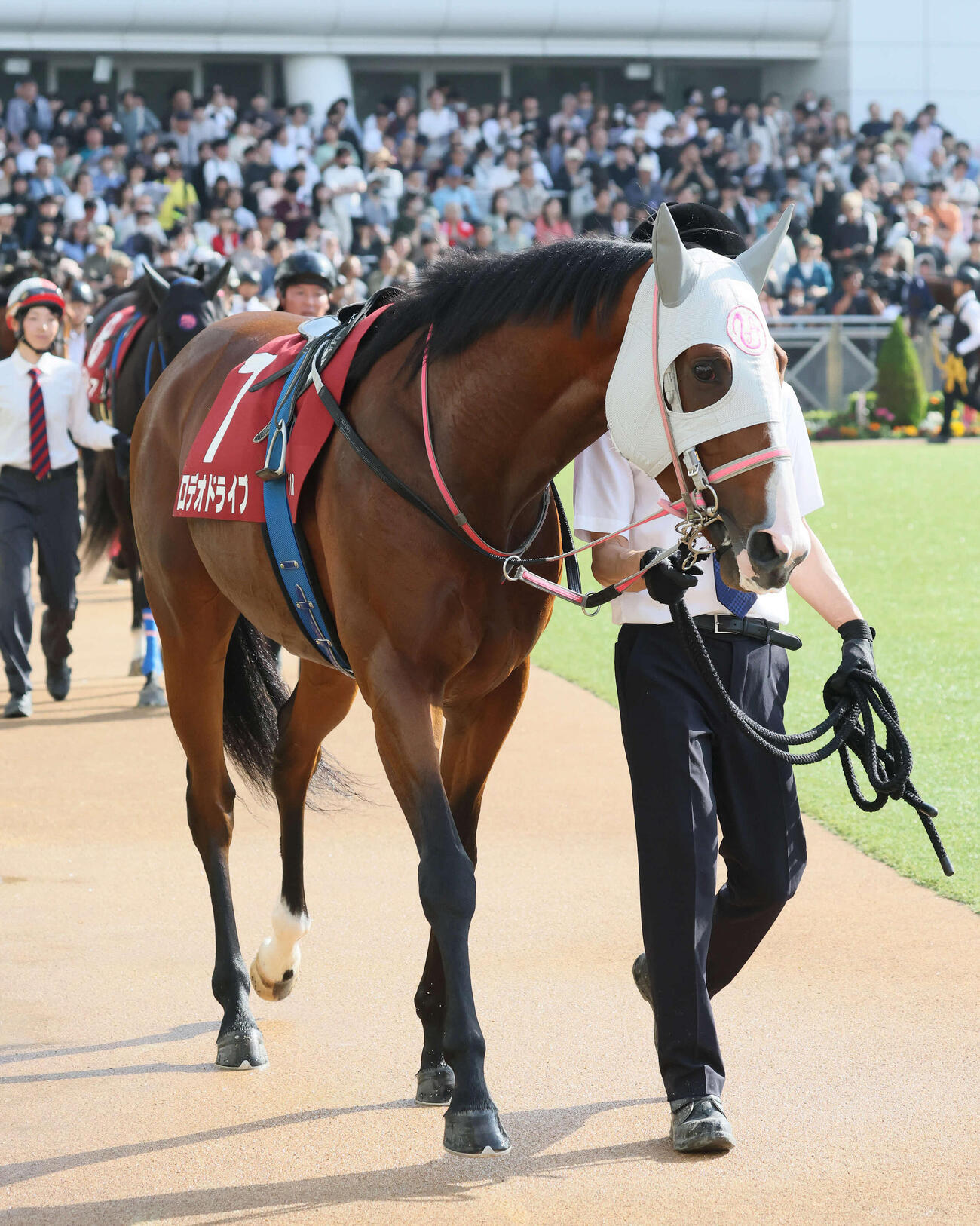 ロデオドライブ（2026年4月11日撮影）