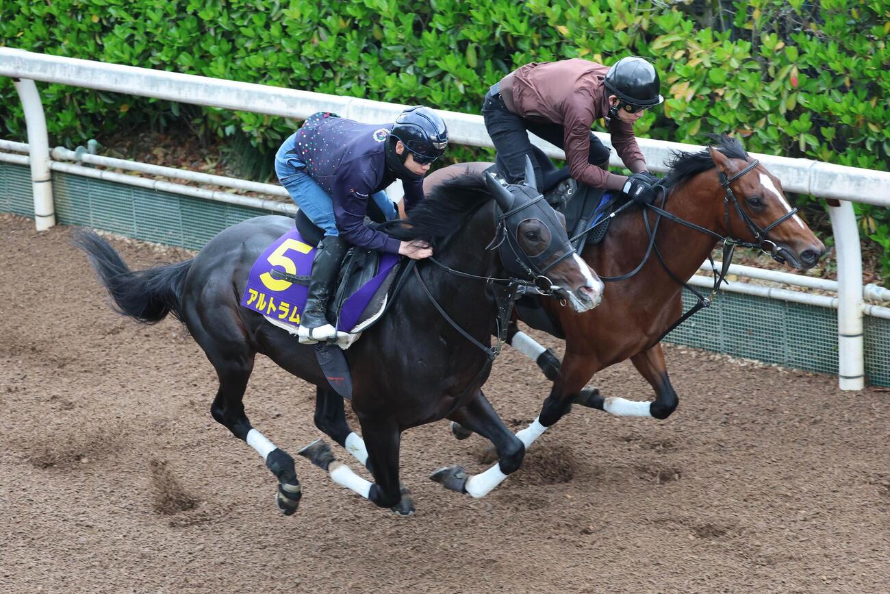 横山武史騎手が騎乗し、馬ナリで併入したアルトラムス（左）