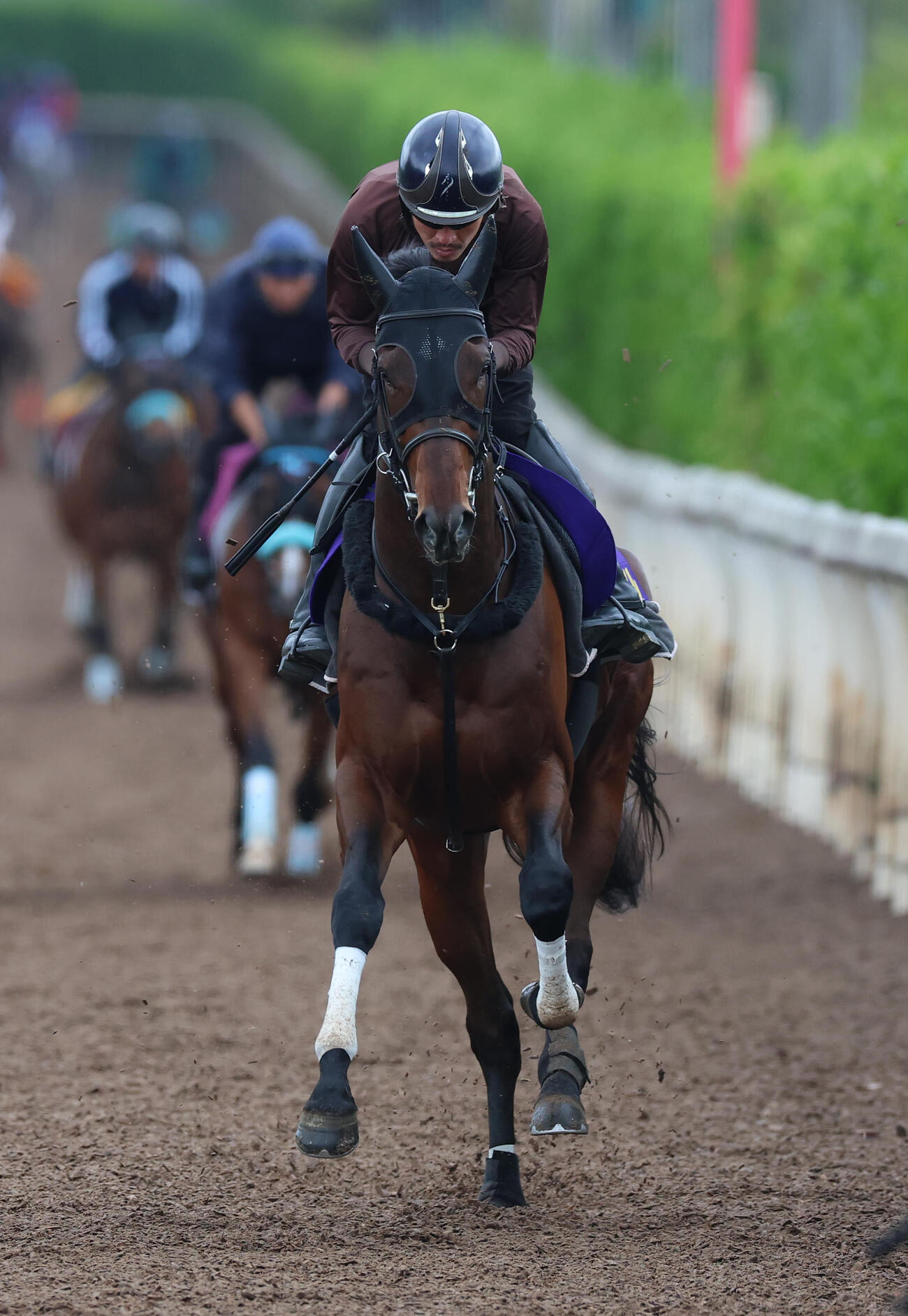 坂路を単走で追い切るマテンロウゲイル（撮影・白石智彦）